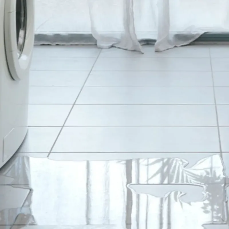 Appliance Leak Cleanup in Apalachicola, FL